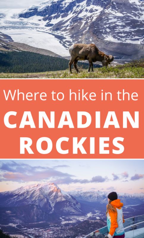 6 best hikes in the Canadian Rockies (easy to hard)