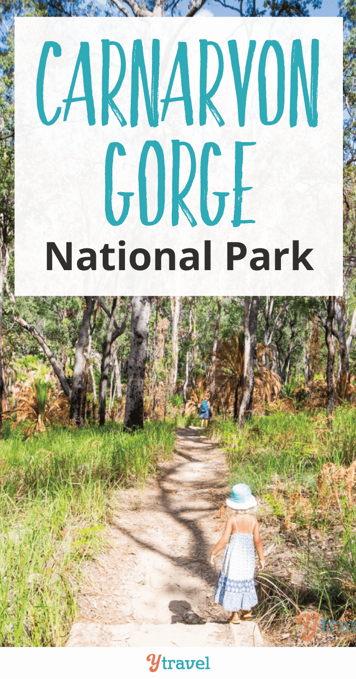 Our readers recommended we visit Carnarvon Gorge National Park and we're so glad we did!