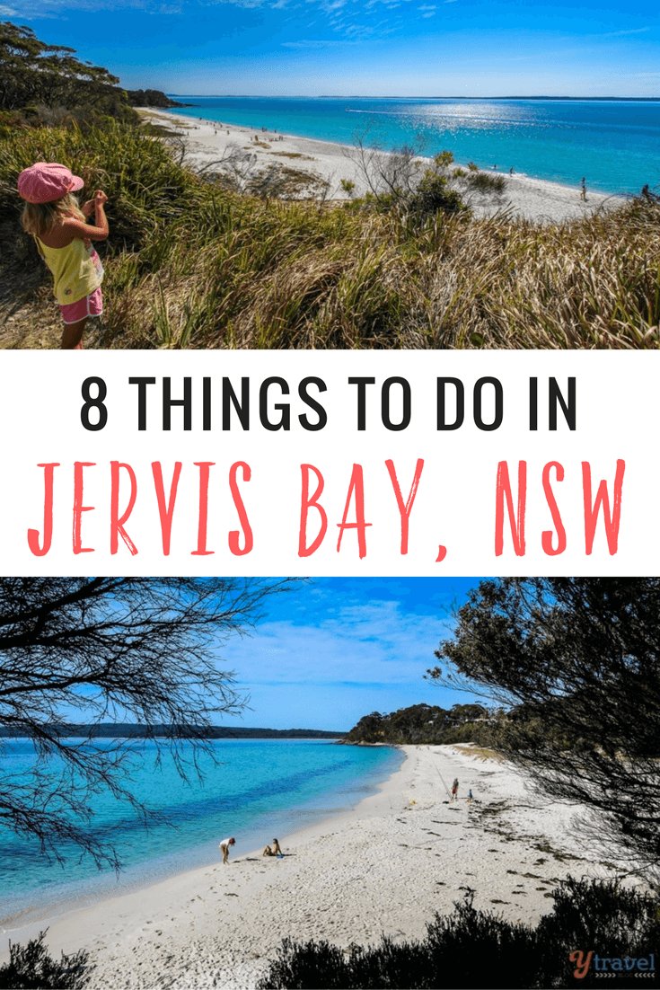 things to do in jervis bay pinterest
