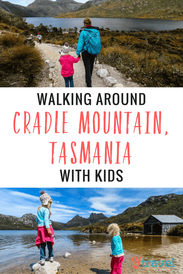 The Dove Lake Circuit beneath Cradle Mountain is one of Tasmania's "60 Great Short Walks". At 6km The Dove Lake is great to do with kids.